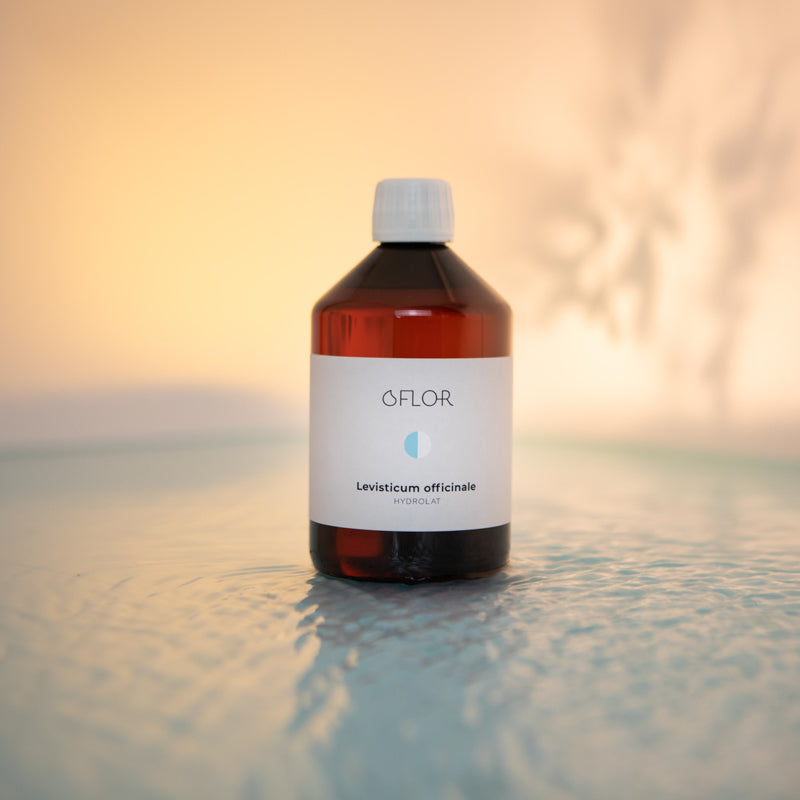 Hydrolat de Livèche
