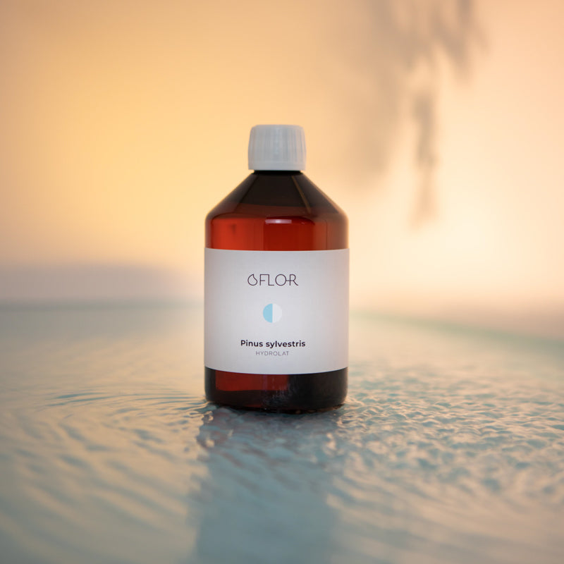 Hydrolat de Pin Sylvestre